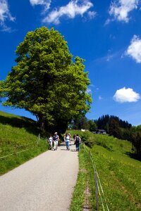 Away bregenz hiking photo