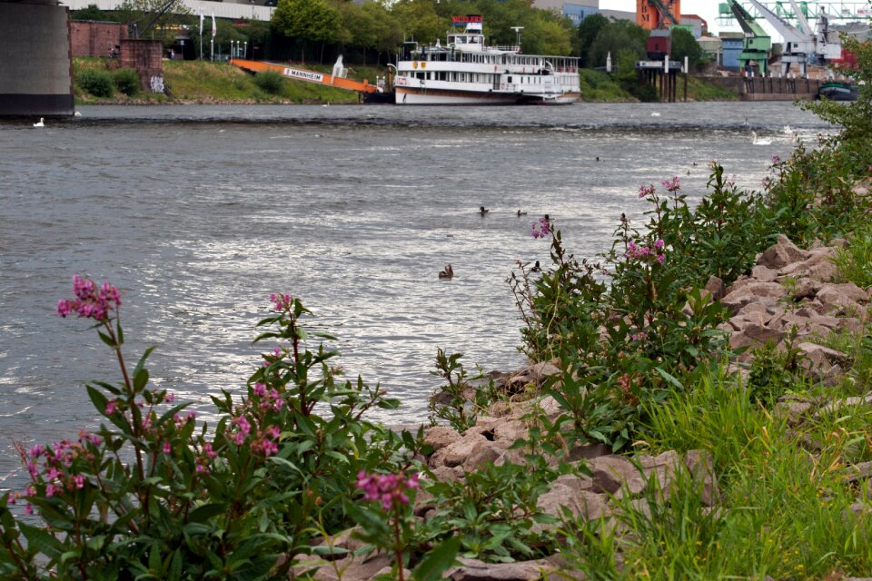Mannheim neckar ship