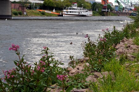 Mannheim neckar ship
