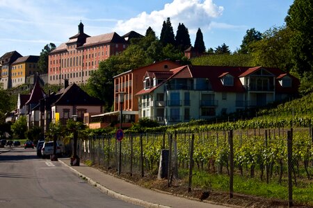 Lake constance meersburg state winery photo