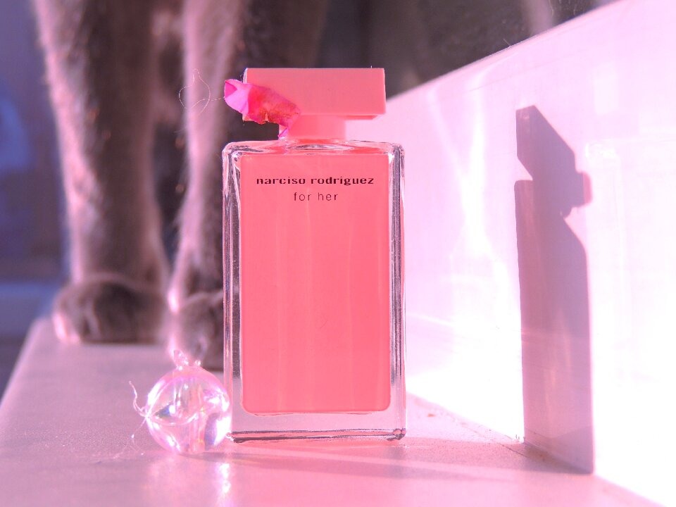 Perfume toilet water paws