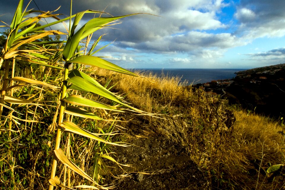 Madeira sea view evening sun