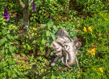 Green garden flowers