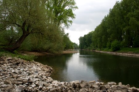 Rhine aue spring