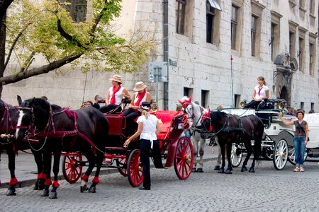 Horse-drawn carriages tourists krakow