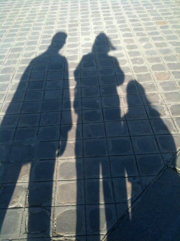 Shadow family grey