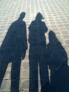 Shadow family grey