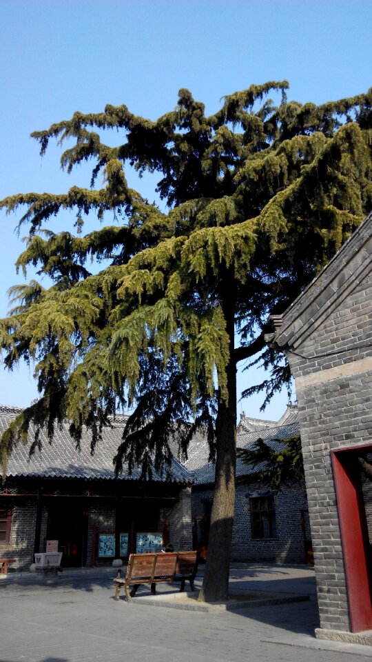 Qufu china three-hole trees the scenery