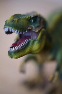 Tyrannosaurus rex predator head photo