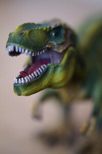 Tyrannosaurus rex predator head