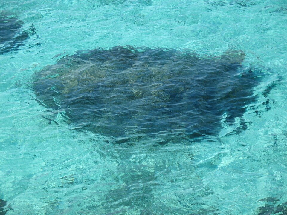 Miyako island xiping cape crystal clear waters