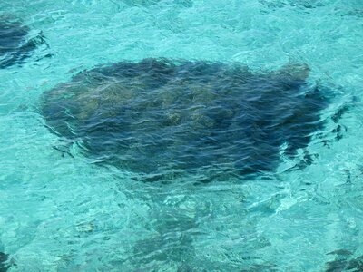 Miyako island xiping cape crystal clear waters