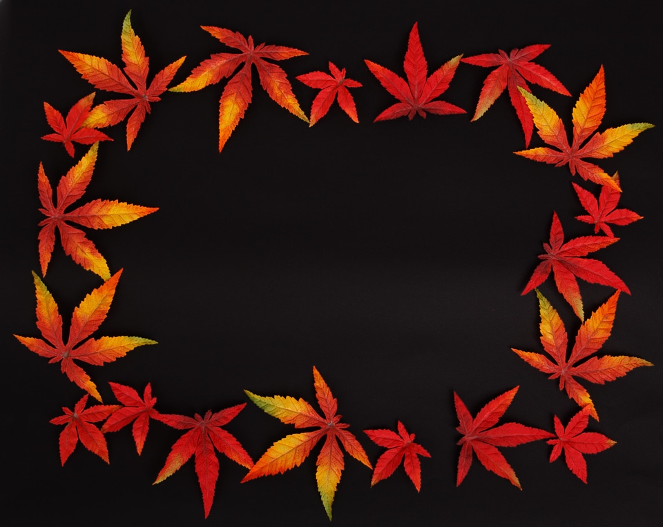 Color decoration fall