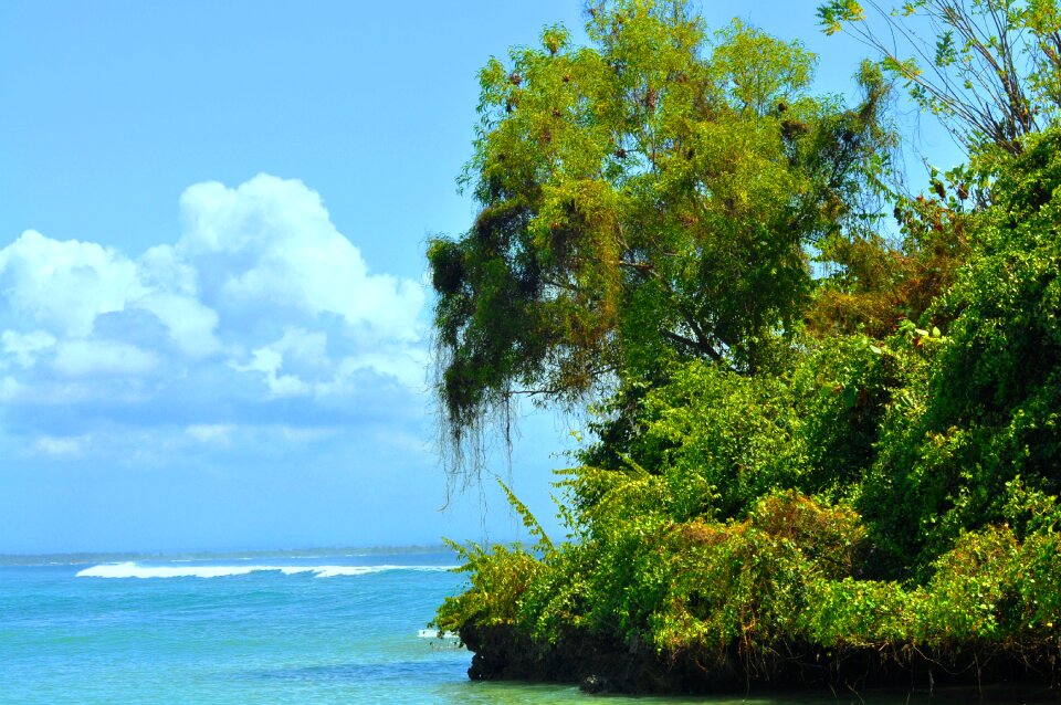 Beach bali