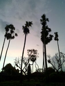 Silhouette temple