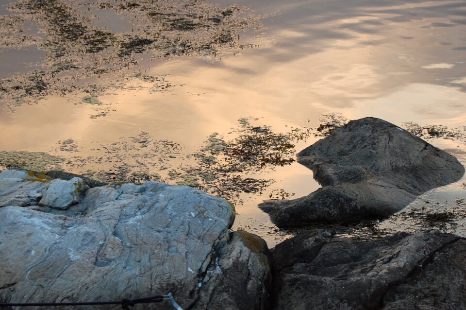 Low tide stones the nature of the