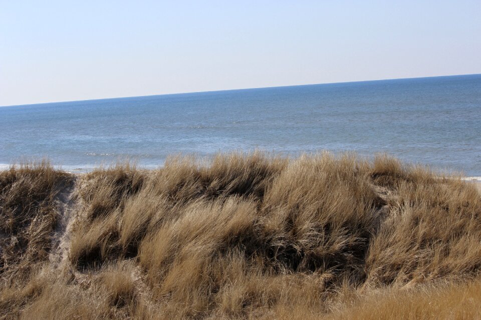 Dry drought landscape