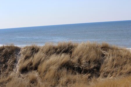 Dry drought landscape