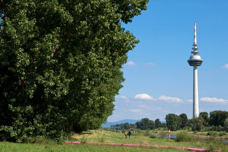 Mannheim tv tower meadow