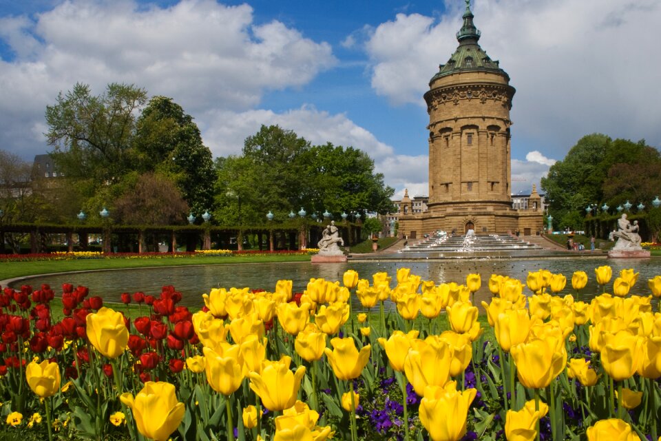 Mannheim water tower flowers