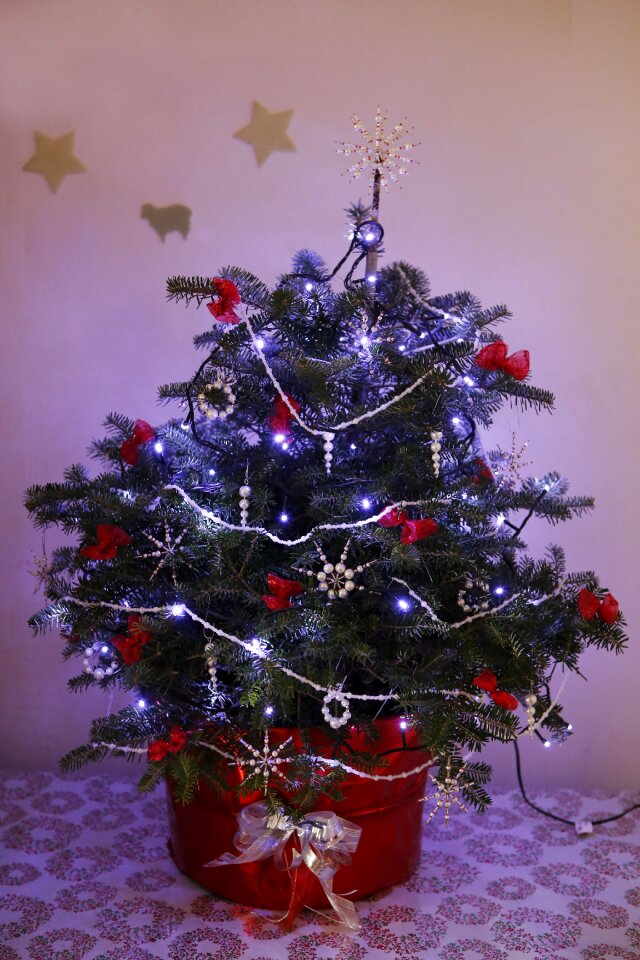 Season holiday winter