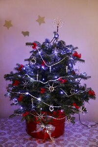 Season holiday winter