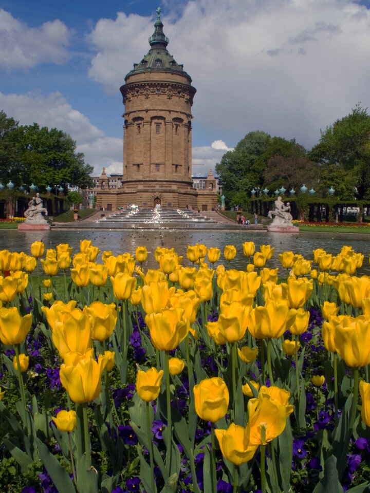 Mannheim water tower flowers