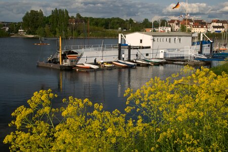 Old rhine rhine mannheim