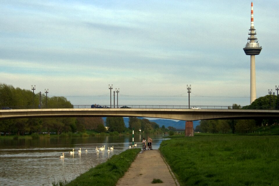 Neckar bridge tv tower