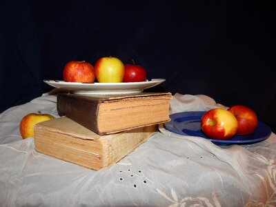 The attempt fruit books