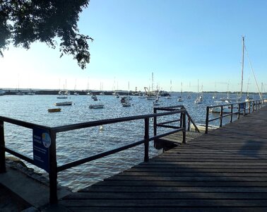 Yachts boats river