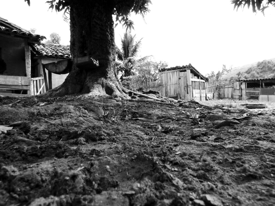 Black and white dirt road home