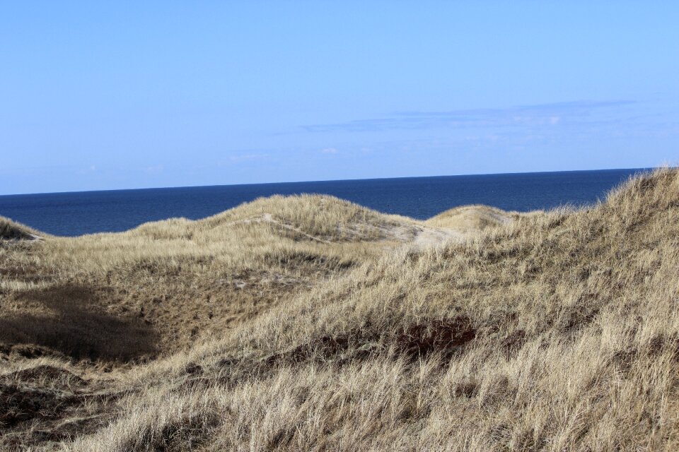 Dune drought landscape