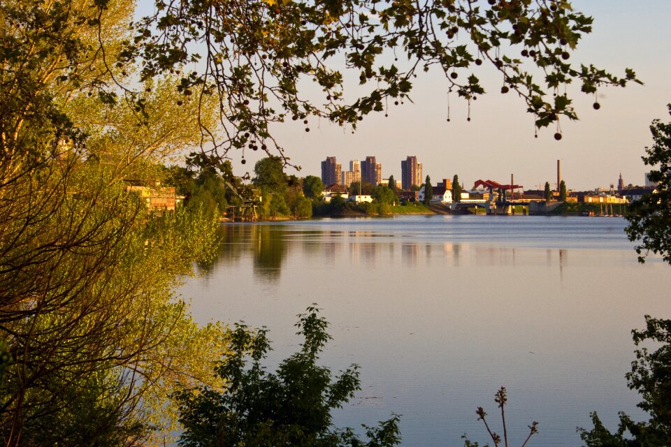 Mannheim rhine panorama