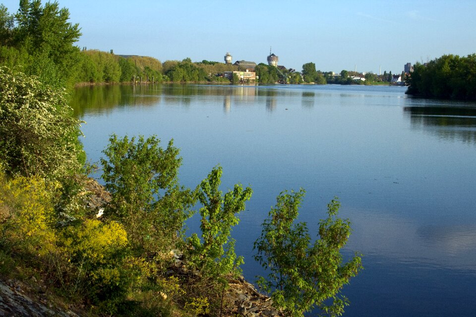 Mannheim rhine panorama