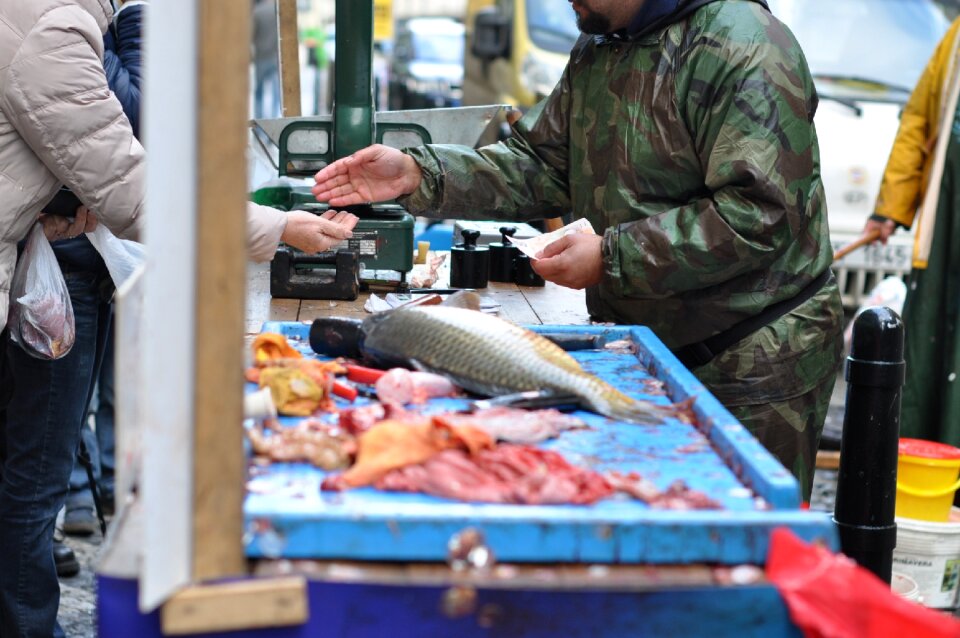 Carp christmas gutting