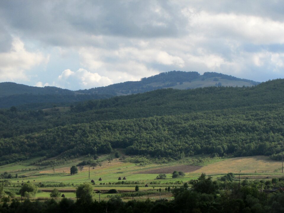 Bihor crisana romania