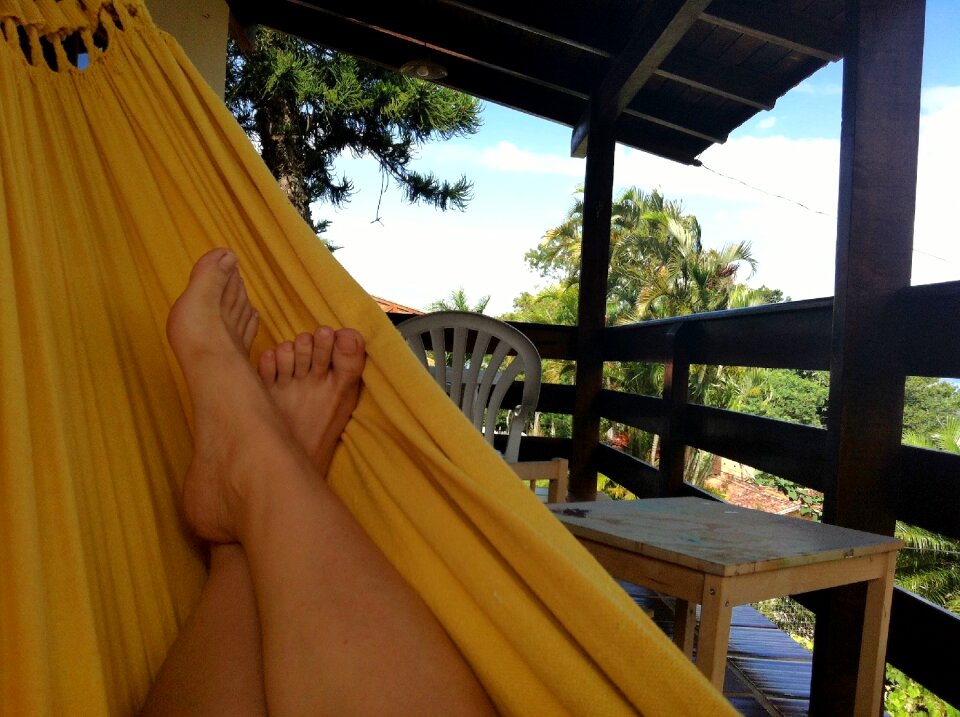 Trees tropical relax