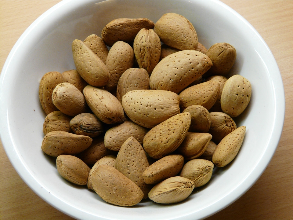 Shell food almond bowl