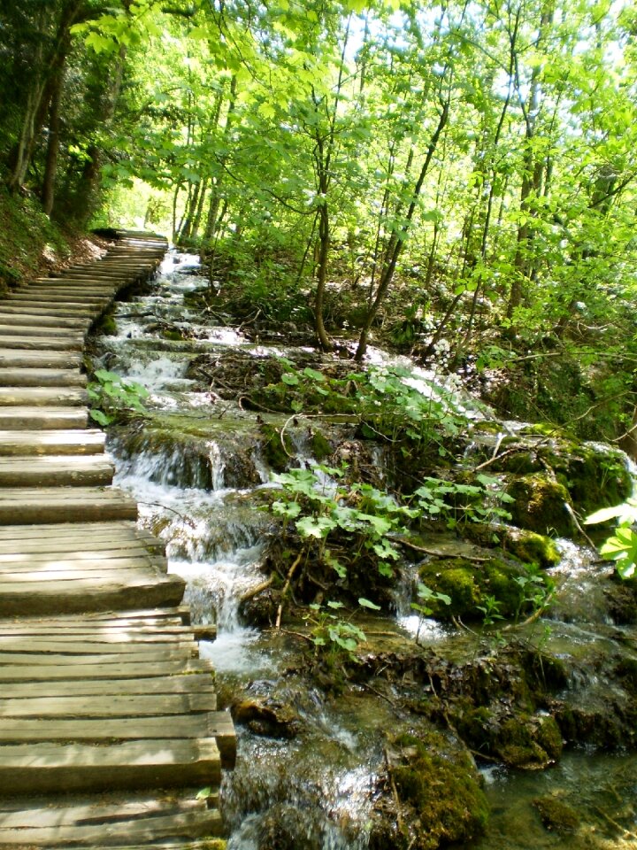 Stream water waterfall