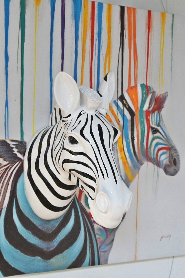 Zebra art colorful