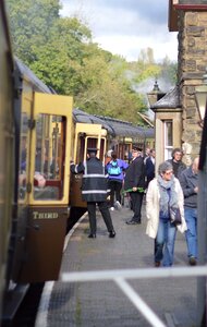 Carriage doors guard photo