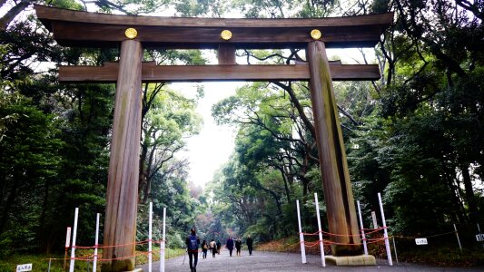 Japan measure nature