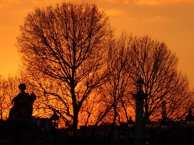 Orange sunset winter
