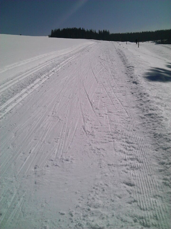 Snow trail winter