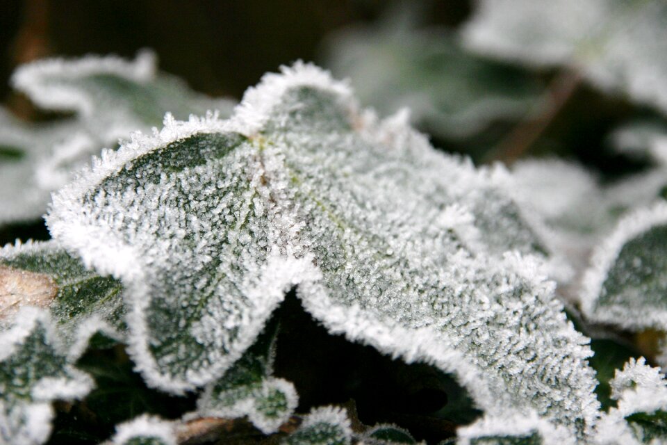 Winter cold ice