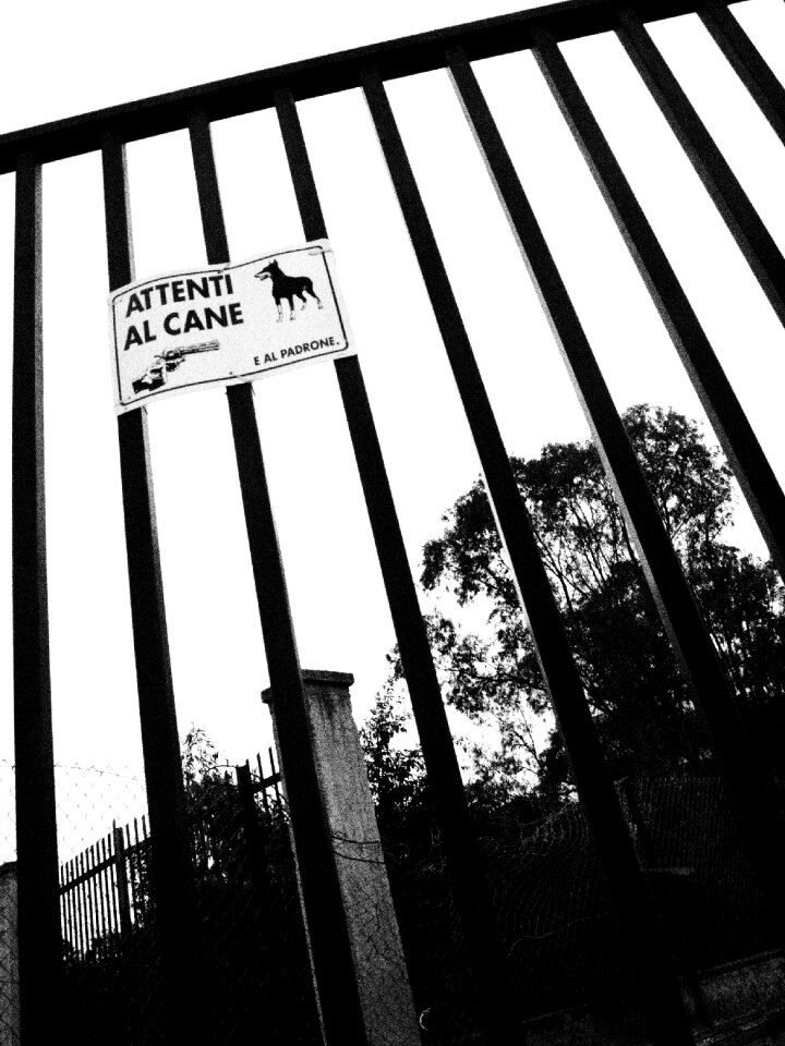 Gate signal dog