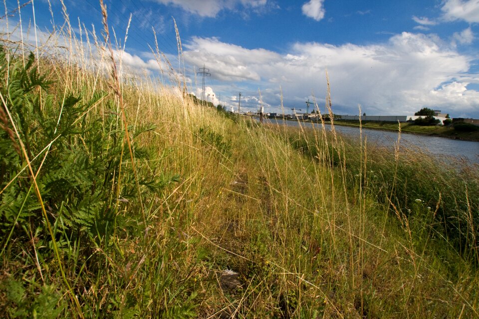 Water river landscape bank