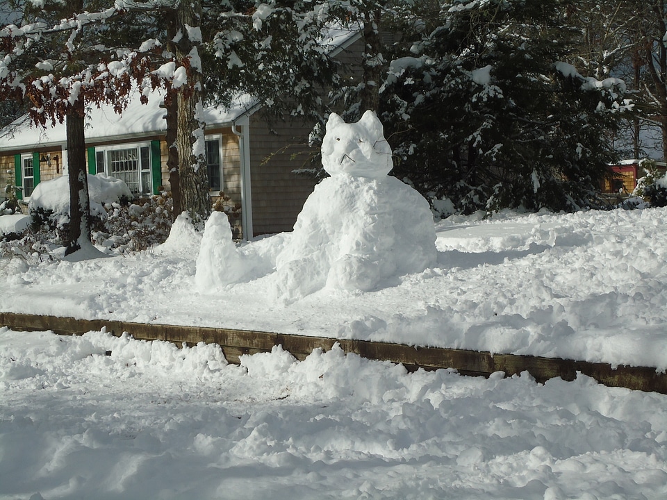 Winter snow sculpure