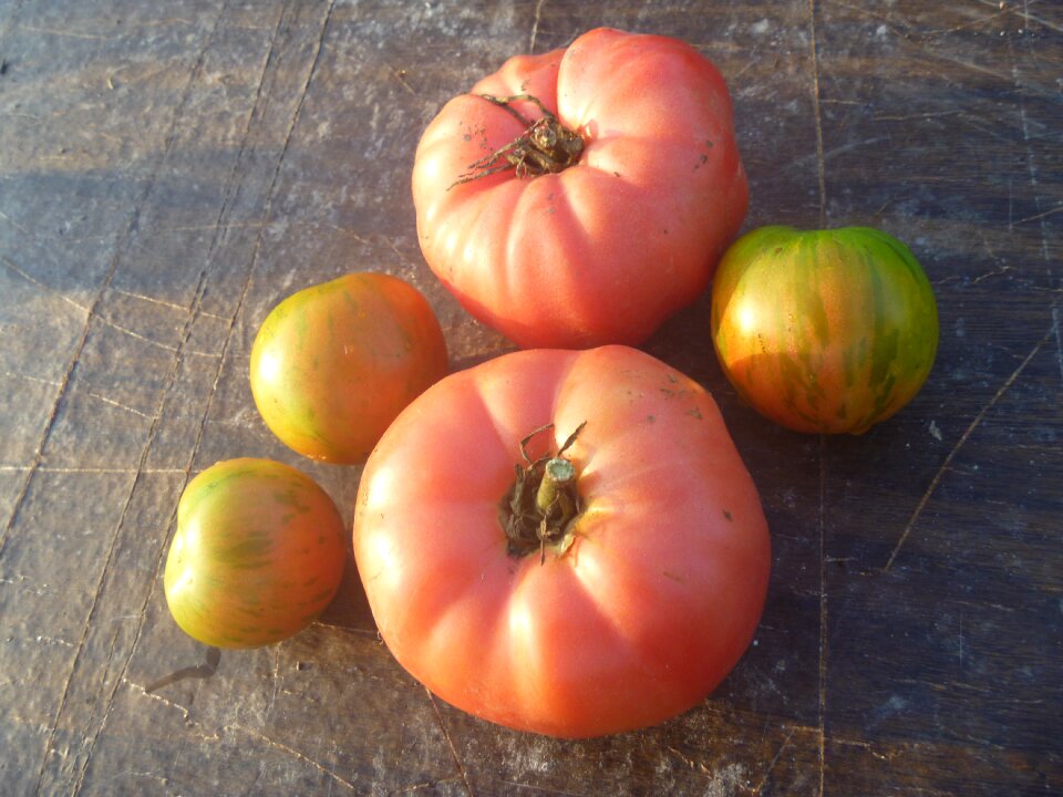 Heirloom food vegetable